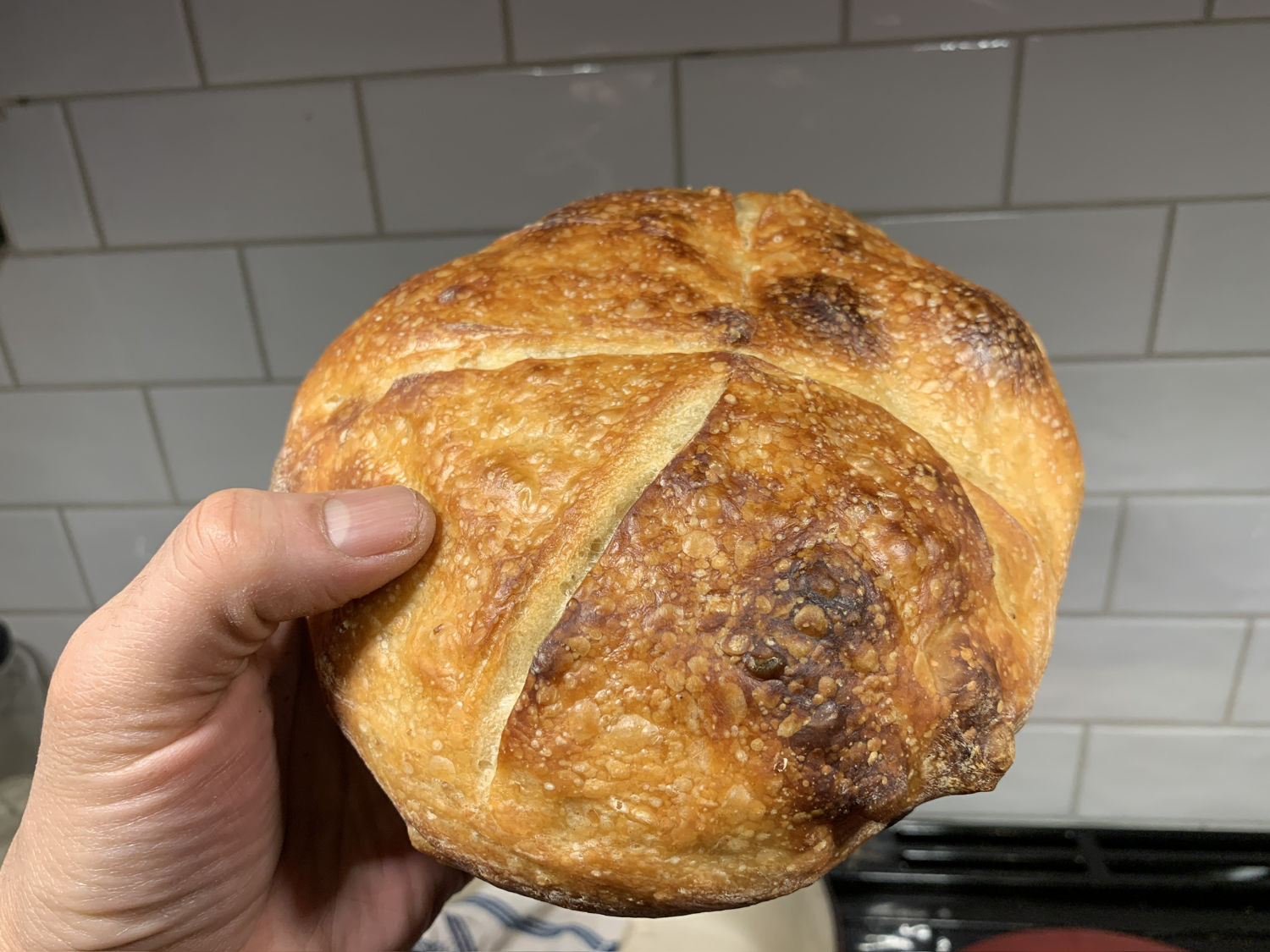 Pan redondo de masa madre pura con corte en cruz y corteza dorada y crujiente.